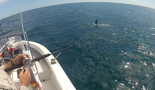 Image: Shane Chalker